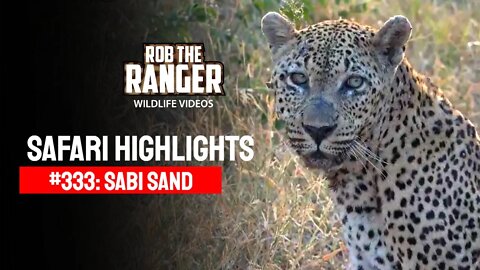 Safari Highlights #333: 15 - 18 March 2015 | Sabi Sand Nature Reserve | Latest Wildlife Sightings