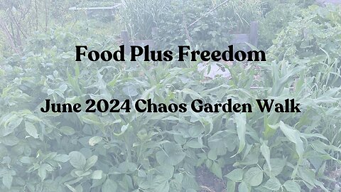 June 2024 Chaos Garden Walk