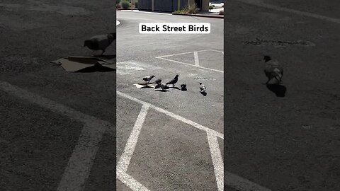 Las Vegas street performers. Backstreet Birds