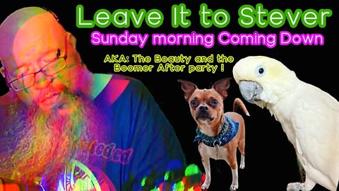 Leave it to Stever - Sunday morning coming Down AKA the Beauty and the Boomer After Party
