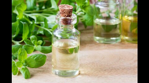 6 Uses for Marjoram