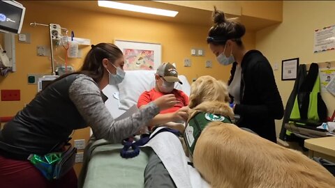 2 of the cutest health workers in Wisconsin are providing comfort to young patients