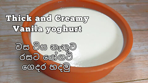 How to Make Yogurt at Home