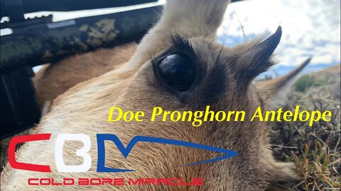 2020 Doe Pronghorn Antelope Hunt