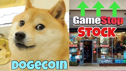 DogeCoin VS GameStop Stock VS BitCoin 💰 TIME TO GET RICH!!! 💰