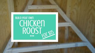 Building a ladder chicken roost for $15
