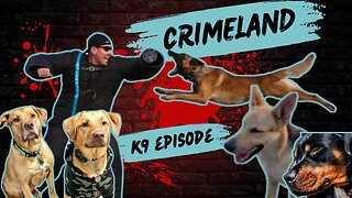 K9s with Florida Jim - Crimeland Episode 41