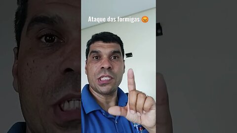 Ataque das formigas em seu eletrodoméstico, CUIDADO!