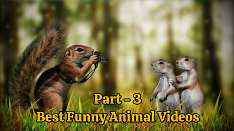 Part-3 Best Funny Animal Videos 2024