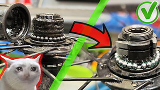 Your Bicycle Wheel don't Move. How To Maintenance Bike Freehub
