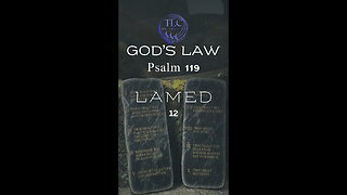 GOD'S LAW - Psalm 119 - 12 - God's unchangeable law #shorts