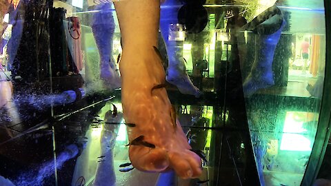 Unbelievable spa for your feet involves treatment by fish!