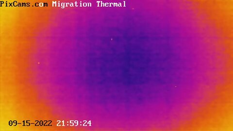 Fall Migration 2022 Thermal Camera - 9/15/2022 @ 21:58 - 28 birds in 2-minutes