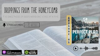 Imperfect People/Perfect Plan (Matthew 1:3) - Episode 1 - Drippings from the Honeycomb Podcast