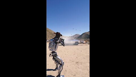 Tesla Robots