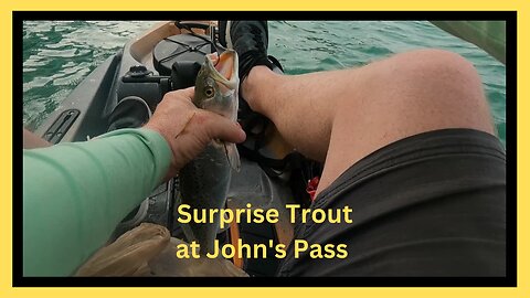 Surprise Trout at John's Pass when targeting Pompano