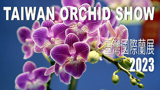 Taiwan International Orchid Show 2023 臺灣國際蘭展