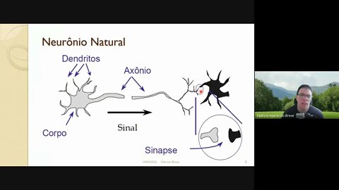 06 - Redes Neurais Artificiais - Parte 1 - Computação Inspirada pela Natureza