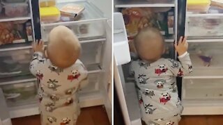 Hungry Toddler Humorously Talks To The Food In The Fridge