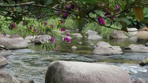 Alívio para Ansiedade e Stress - Música para Relaxar e Acalmar a Mente