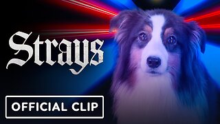 Strays - Red Band Clip