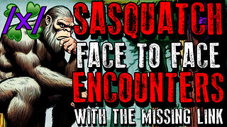 Sasquatch: Face to Face Encounters | 4chan /x/ Bigfoot Innawoods Greentext Stories Thread