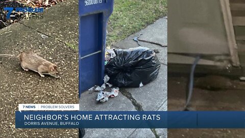 Neighbor's neglect leads to unwelcomed guests and fine by City of Buffalo