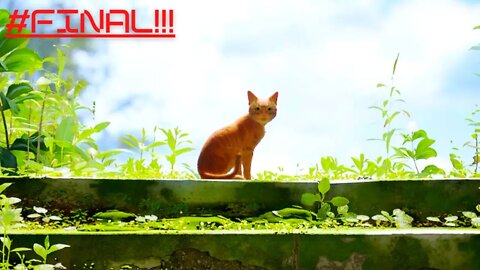 jogo do Gato: FINAL!!! - Gameplay PT-BR. #10 (Stray)