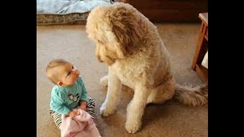 Sweet dog and sweet little baby
