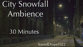 30 Minutes of City Snowfall - Relaxing Winter City Sounds