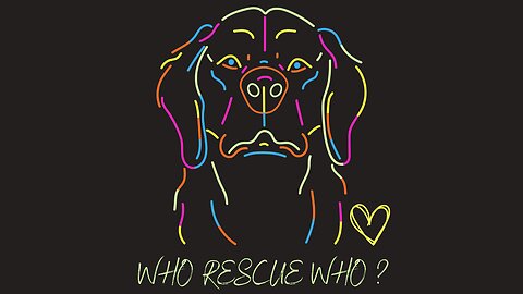 Dog Adoption: Who Rescued Who?