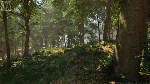 Forest Unreal Engine 5 Amazing Demo RTX 3080⁴ᴷ