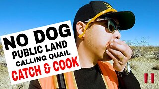 Quail Hunting: No Dog Quail Hunting in Southern California