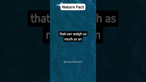 Did You Know This? Cool Whale And Quokka Random Nature Fact! #shortsvideo