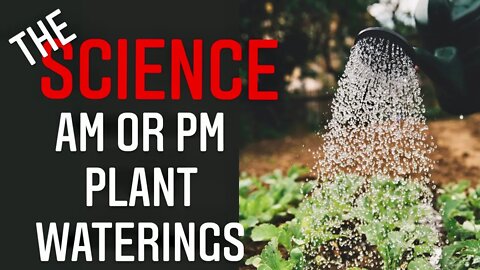 THE BEST TIME TO WATER YOUR PLANTS IS 💦 Science May Surprise You! 💦 | Gardening in Canada