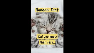 Like and Follow to discover more funny facts about our furry feline friends! #catfacts #catlover