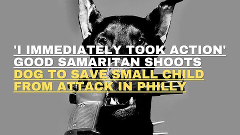 **'I immediately took action': Good Samaritan shoots dog to save small child from attack in Philly**