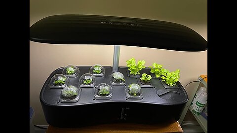 Hydroponics Growing System, Indoor Gardening System with LED Grow Light, 12 Pods Plant Germinat...