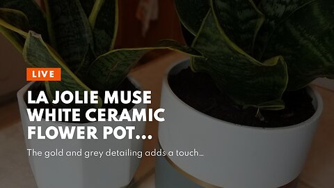 LA JOLIE MUSE White Ceramic Flower Pot Garden Planters 6.7 Inch Pack 2 Indoor Plant Containers...