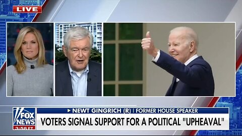 Newt Gingrich: Democrats Are Engaged In Shadow Plays