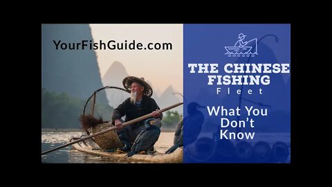 Chinese Fishing Fleet And The Oceans Of The World | YourFishGuide.com