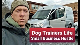 VLOG - Dog Trainers Life. Dog Training Daily Journey!