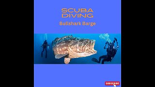 Scuba Diving Bull Shark Barge