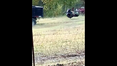 A black Ghost flys across pasture startling horses