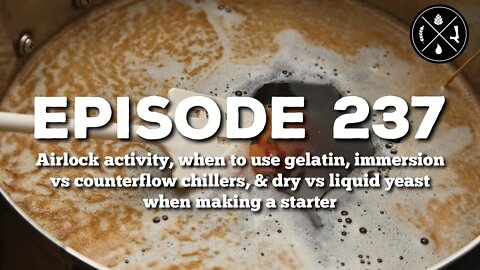 Airlock activity, using gelatin, immersion vs counterflow, dry vs liquid yeast for starters - Ep 237