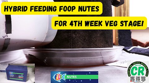 Here's how I do a hybrid feeding of my plants with 4th week veg stage FOOP Nutes!!