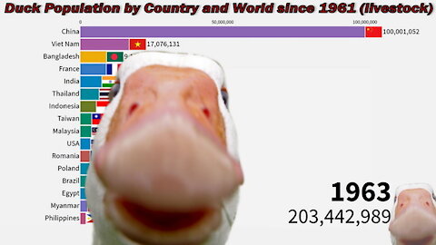 🦆 Duck Population by Country and World since 1961