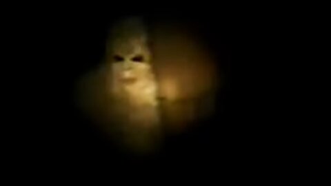 Pennsylvanian White Bigfoot