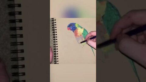 Drawing a bird #shorts