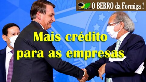 Empresas terão mais ace$$o a crédito - Bolsonaro sanciona novas medidas